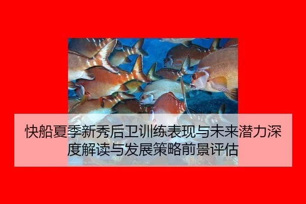 快船夏季新秀后卫训练表现与未来潜力深度解读与发展策略前景评估